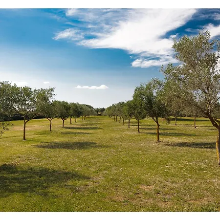 La Mora Bianca * Assemini