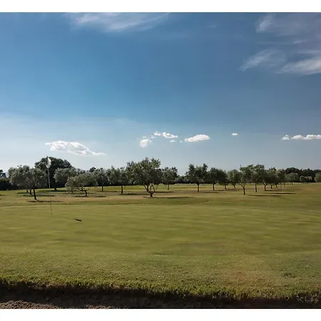 팜스테이 La Mora Bianca 아세미니